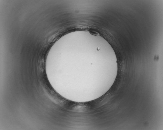 X0000110920364200907091503