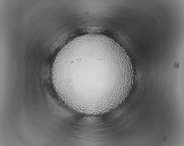 X0000110920367200907091503