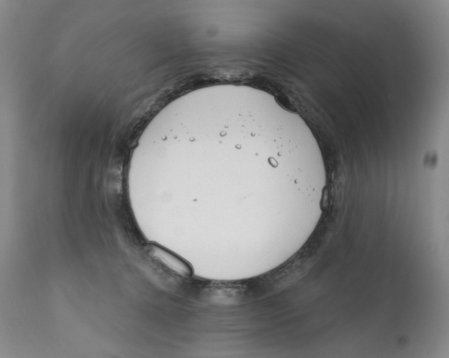 X0000110920368200907091503