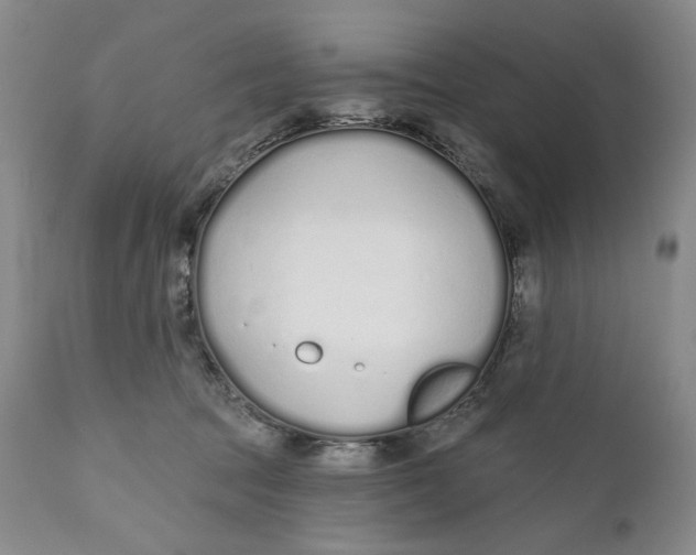 X0000110920369200907091503