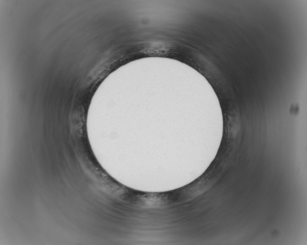 X0000110920370200907091503