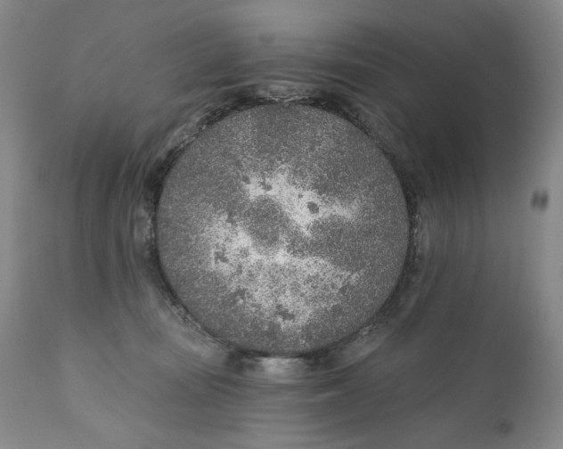 X0000110920371200907091503