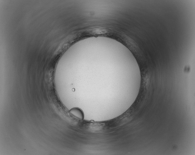 X0000110920373200907091503