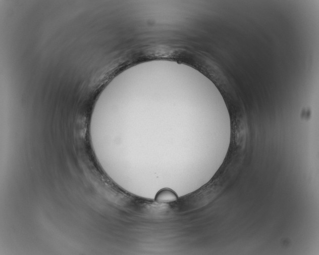 X0000110920374200907091503