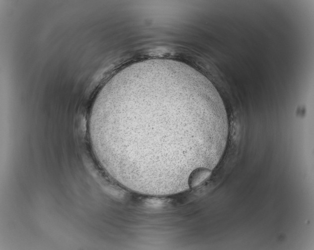 X0000110920375200907091503