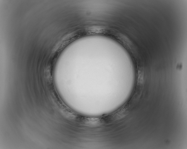 X0000110920377200907091503