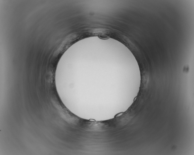 X0000110920379200907091503