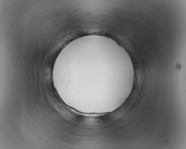 X0000110920380200907091503