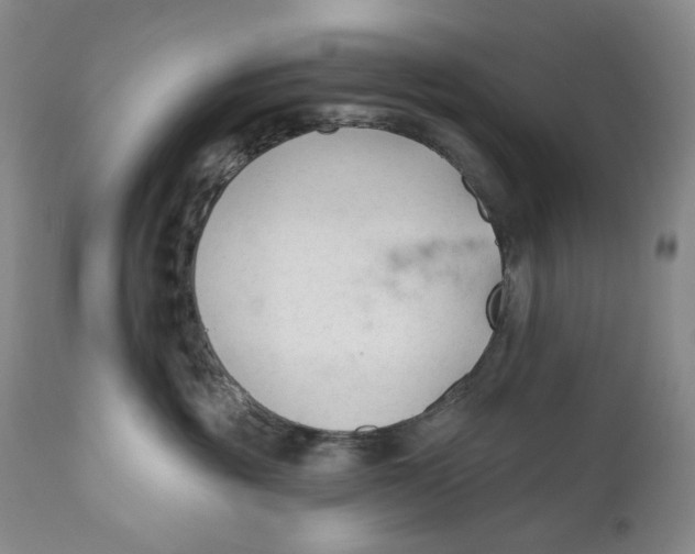 X0000110920381200907091503