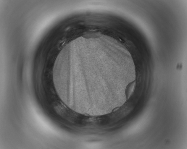 X0000110920383200907091503