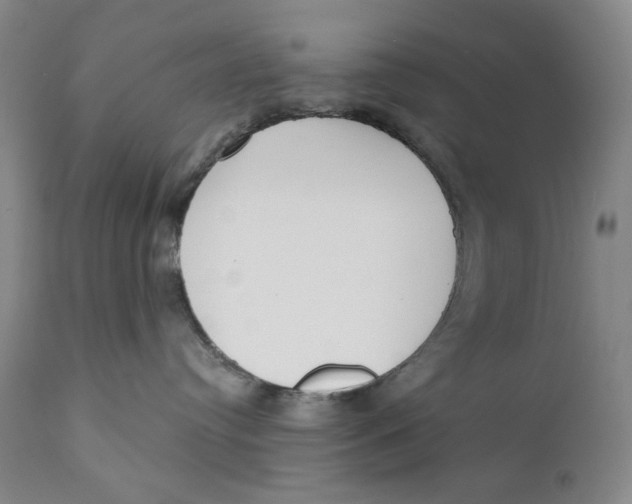 X0000110920384200907091503