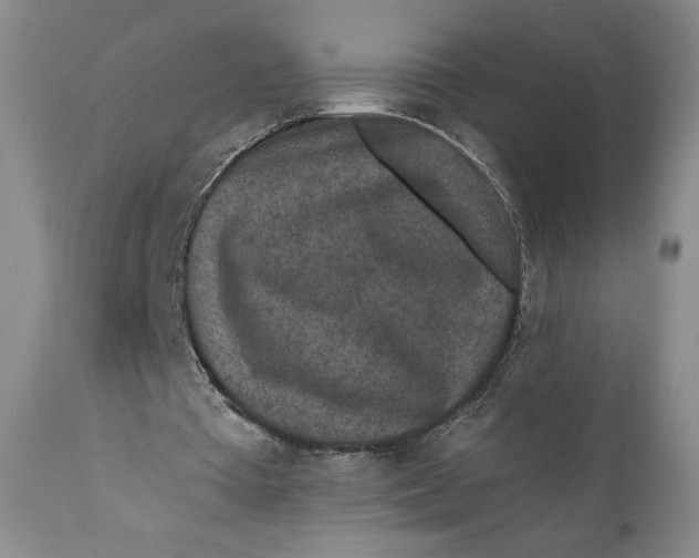 X0000110920385200907091502