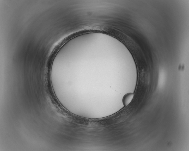 X0000110920388200907091502