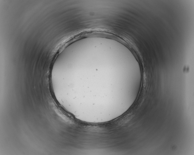 X0000110920389200907091502
