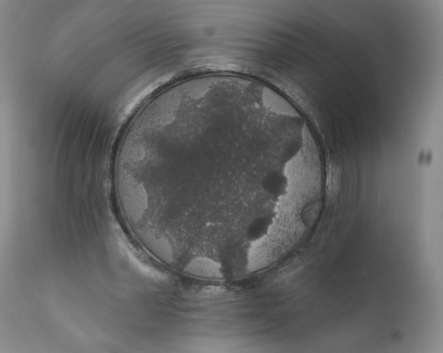 X0000110920390200907091502