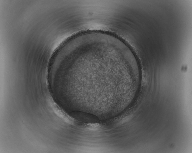 X0000110920391200907091502