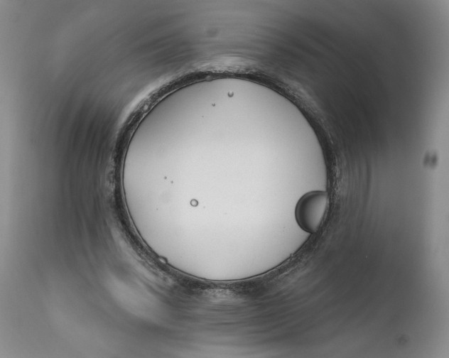 X0000110920392200907091502