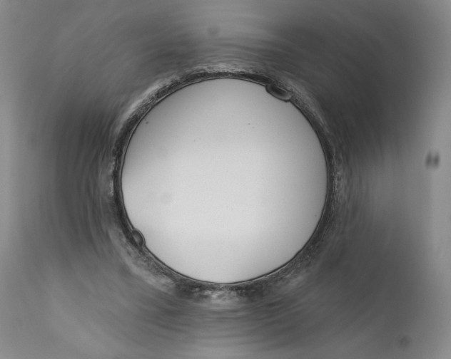 X0000110920395200907091502