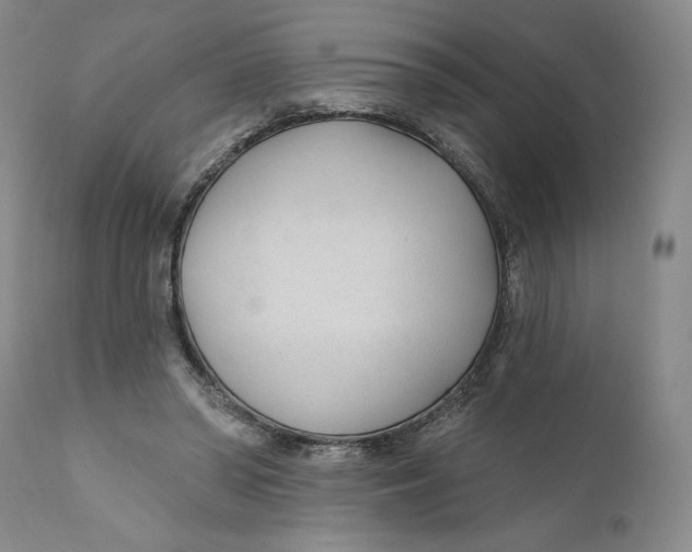 X0000110920398200907091502