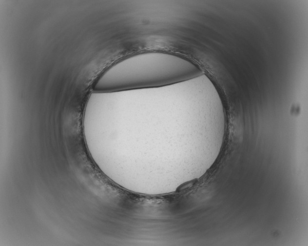X0000110920401200907091502