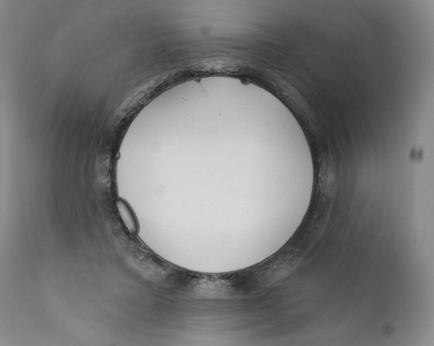 X0000110920403200907091502