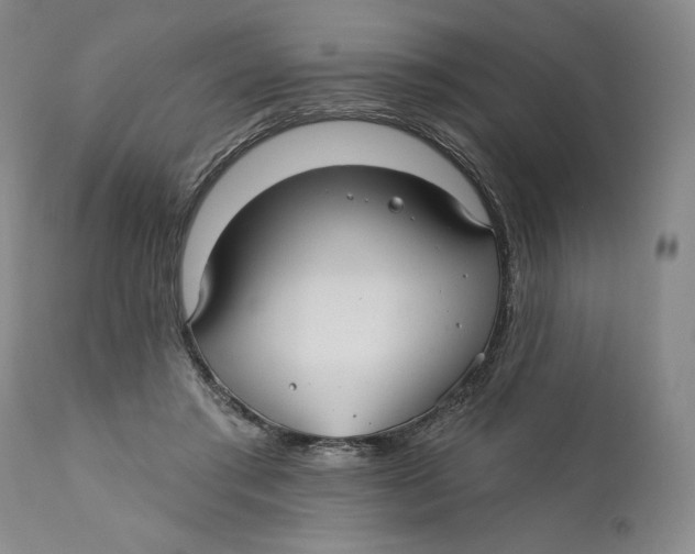 X0000110920405200907091502