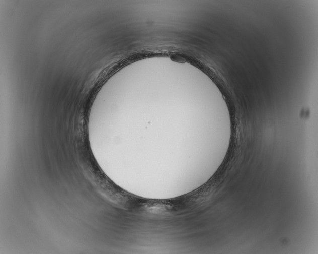 X0000110920407200907091502