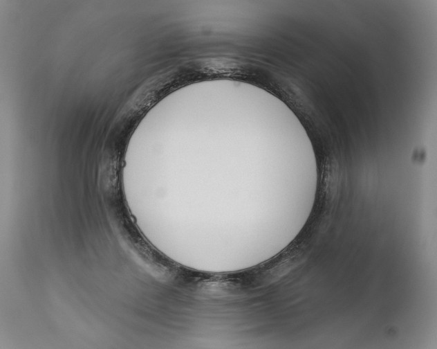 X0000110920408200907091502