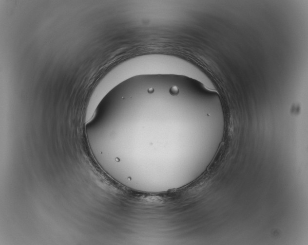 X0000110920409200907091502