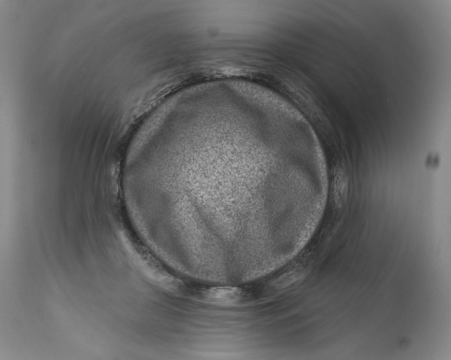 X0000110920410200907091502