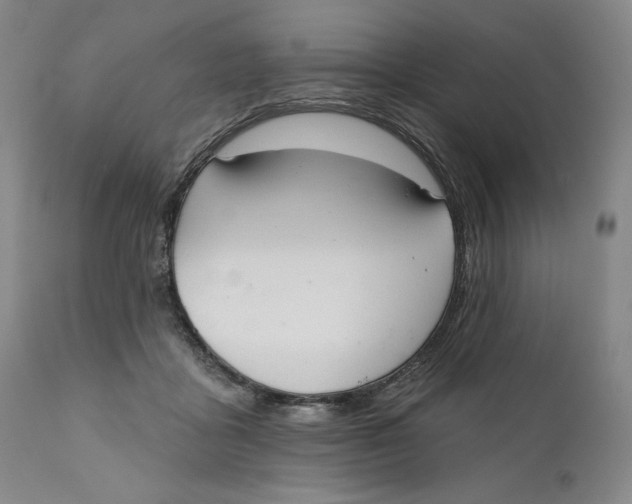 X0000110920411200907091502