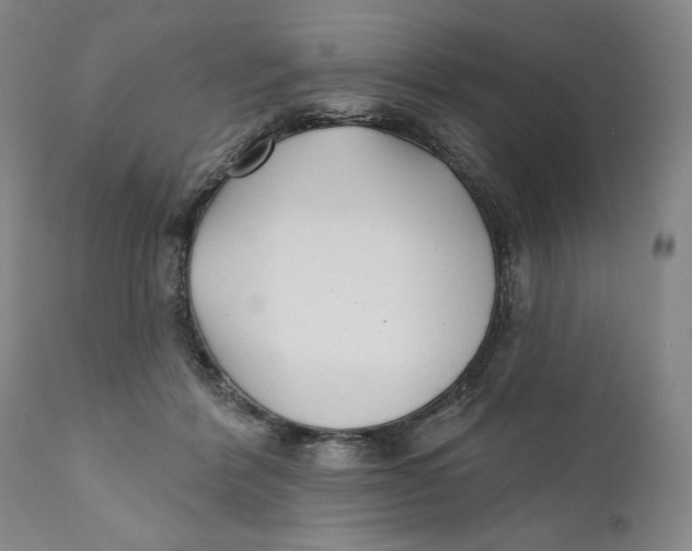X0000110920412200907091502