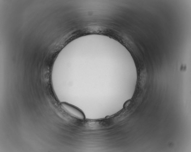 X0000110920413200907091502