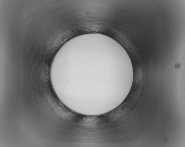 X0000110920414200907091502