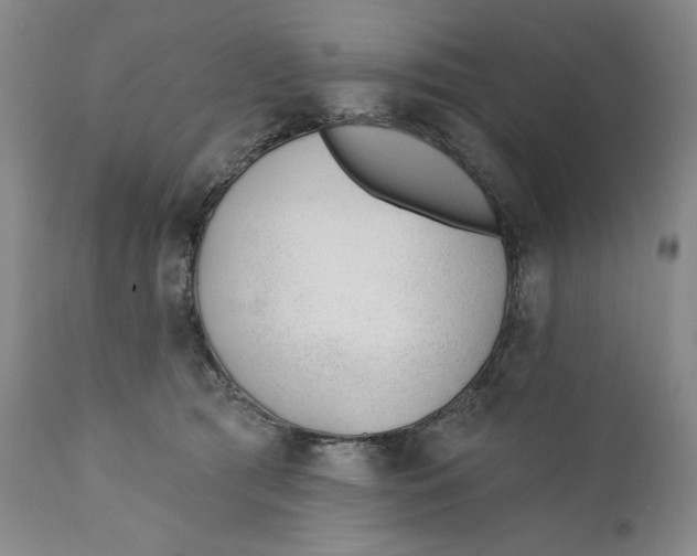 X0000110920417200907091502
