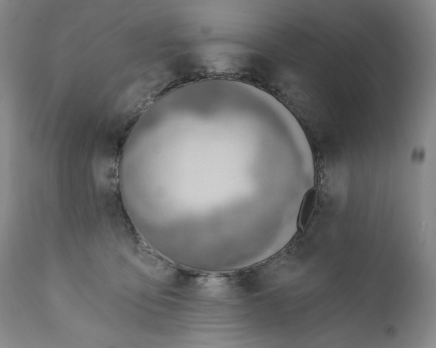 X0000110920419200907091502
