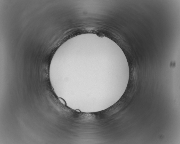 X0000110920421200907091502