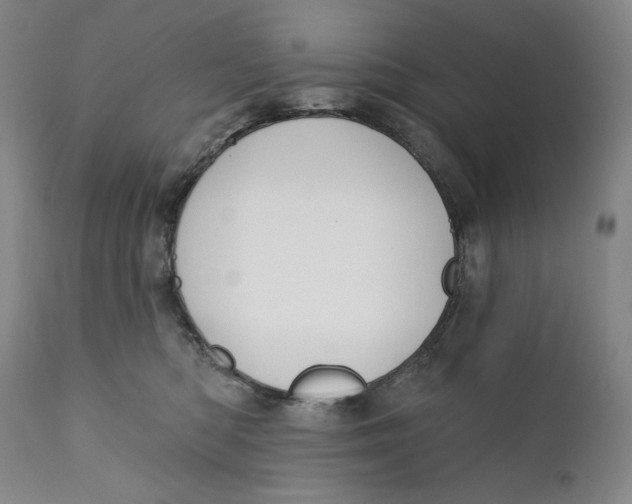 X0000110920422200907091502