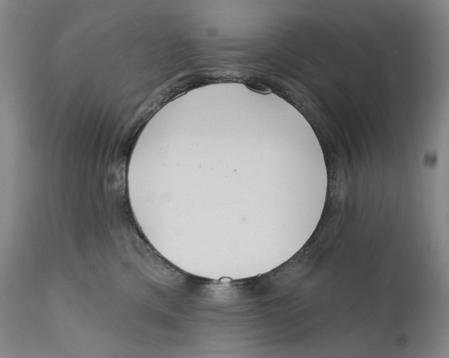 X0000110920425200907091502