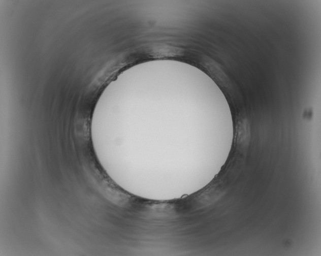 X0000110920426200907091502