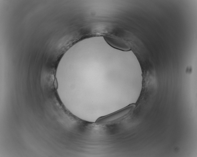 X0000110920427200907091501