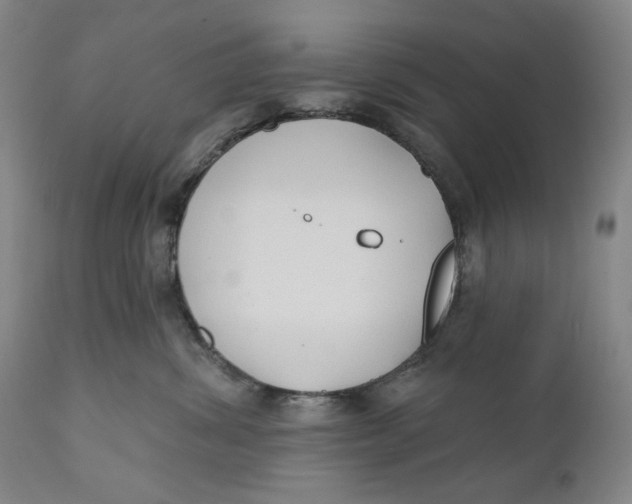 X0000110920428200907091501