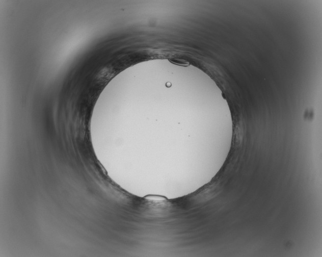 X0000110920429200907091501