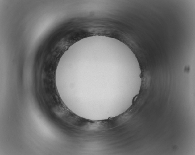 X0000110920430200907091501