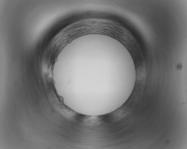 X0000110920431200907091501