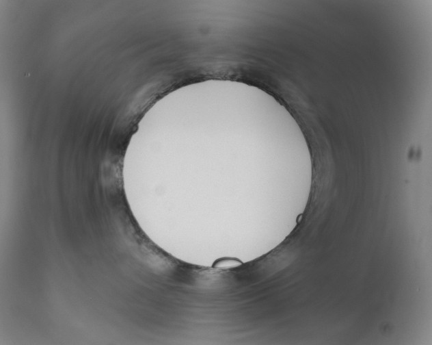 X0000110920432200907091501