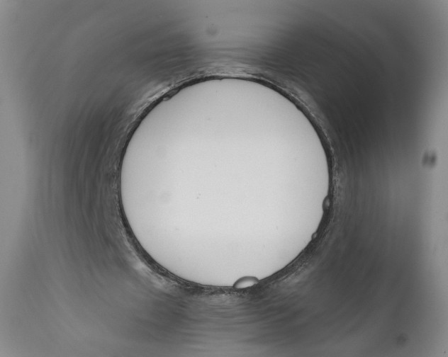 X0000110920433200907091501