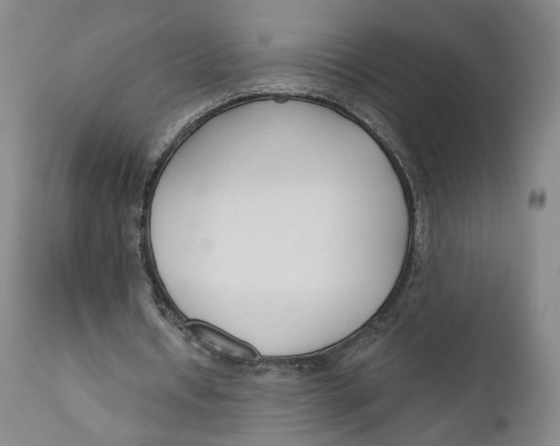 X0000110920434200907091501