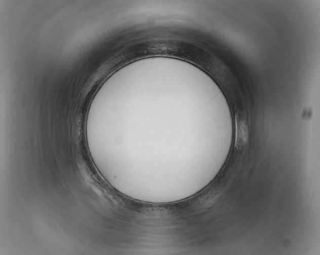 X0000110920435200907091501