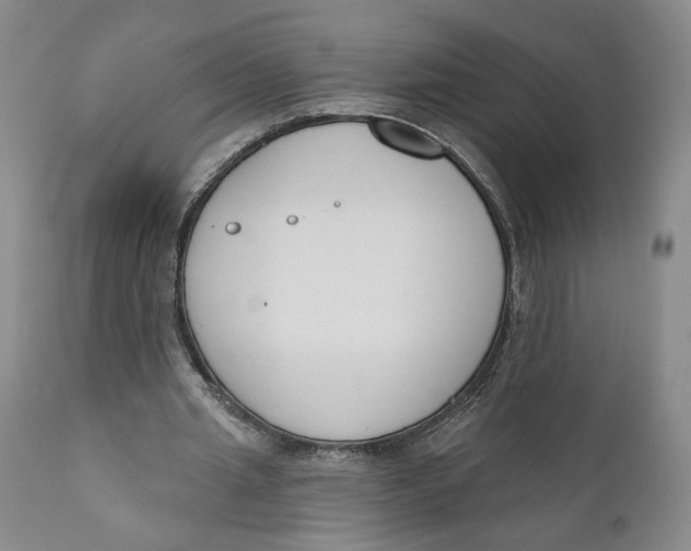 X0000110920437200907091501